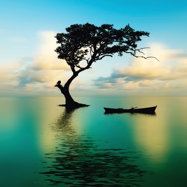 Square Canvas Tree & Boat on Lake Scenery High Quality Print 100% Australian Made