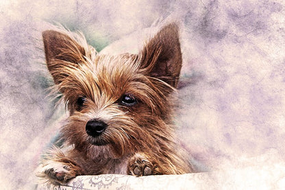 Dog Face Portrait Design Home Decor Premium Quality Poster Print Choose Your Sizes