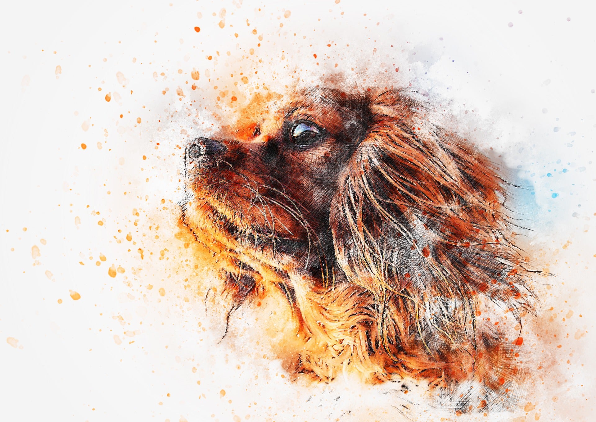 Colourful Dog Portrait Painting Print 100% Australian Made