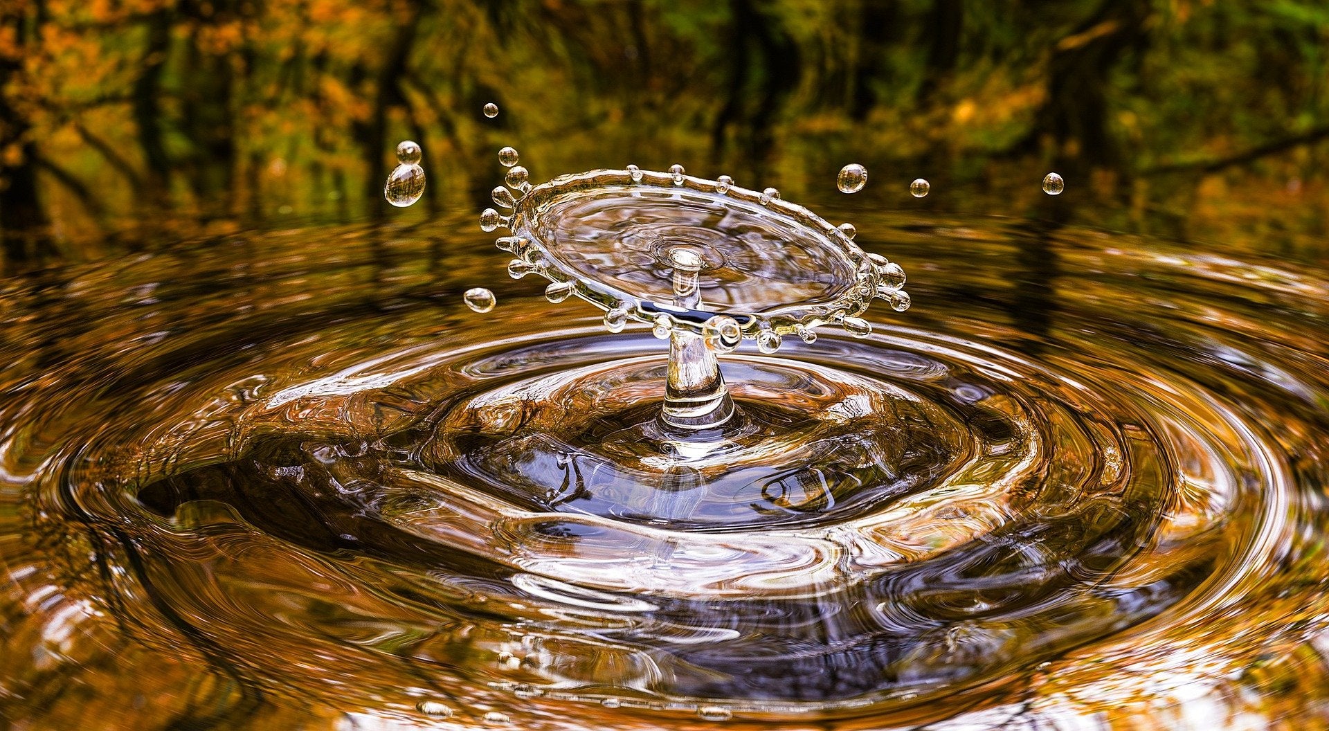 Waterdrop Closeup Photograph Home Decor Premium Quality Poster Print Choose Your Sizes