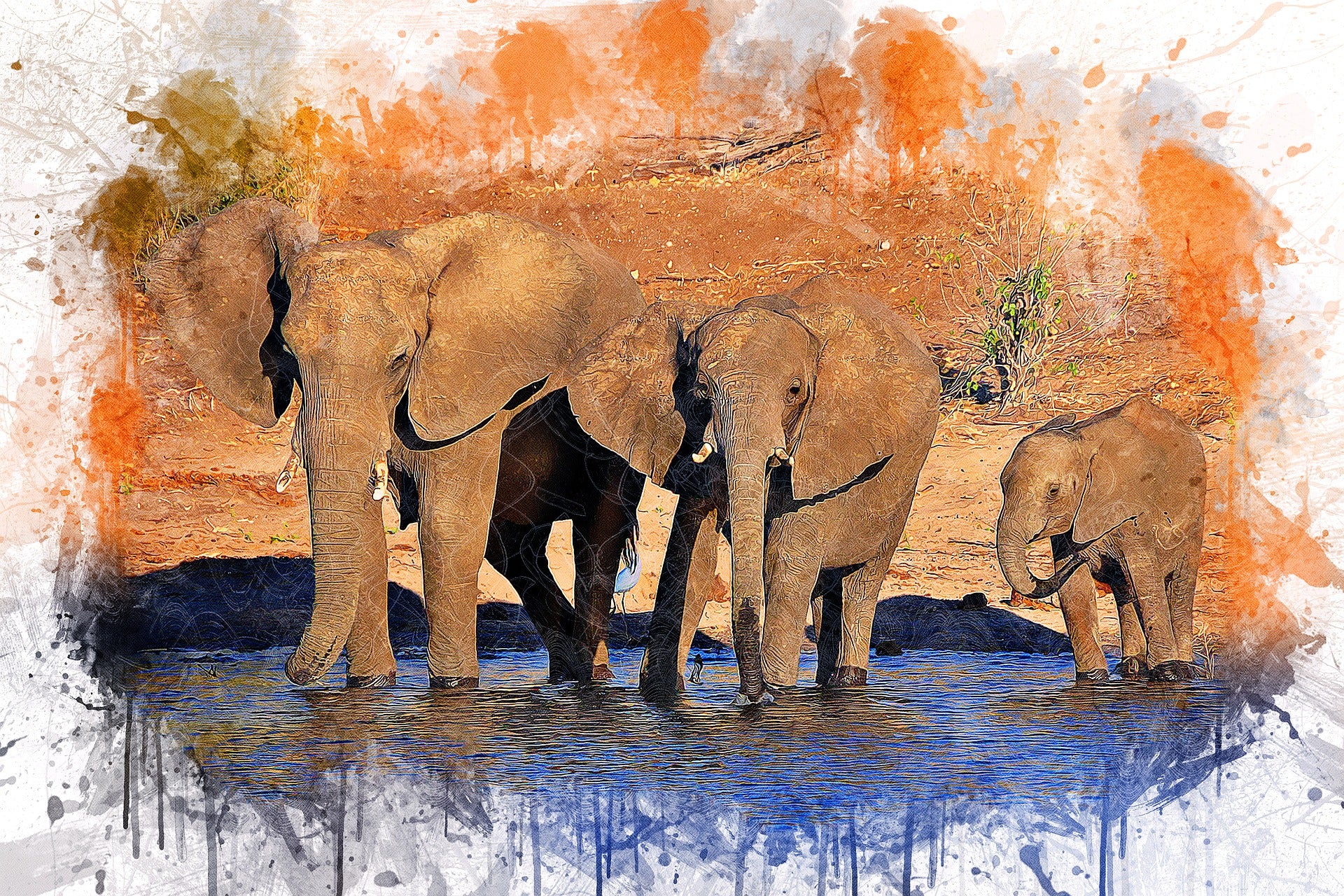 Elephant Family in a Water Hole Photograph Print 100% Australian Made