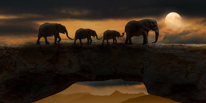 Elephants Walking at Sunset Photograph Print 100% Australian Made