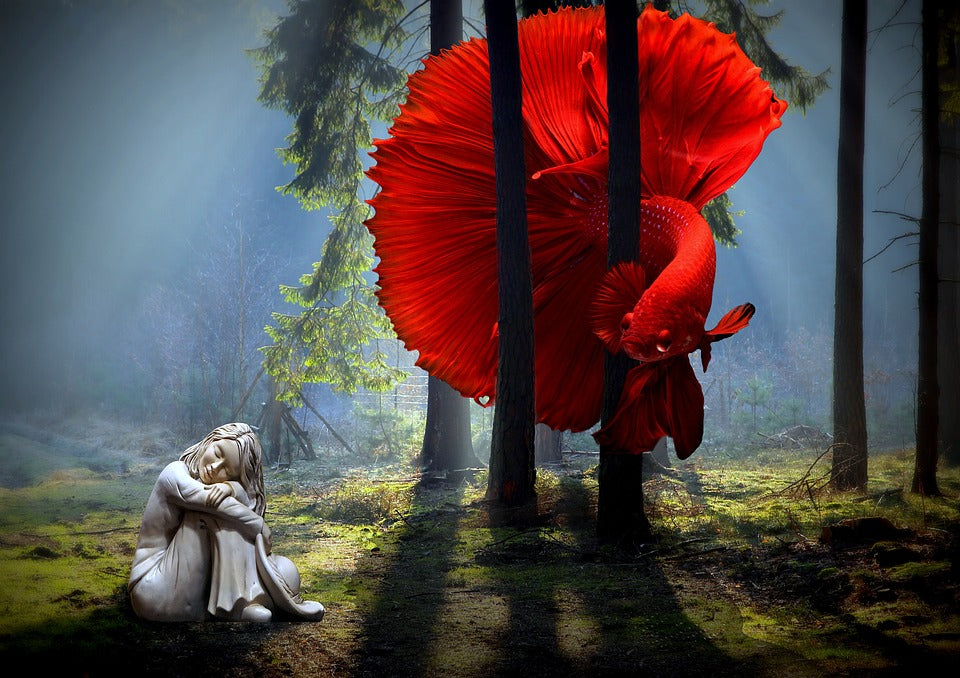 Fish & Girl in Forest Photograph Print 100% Australian Made