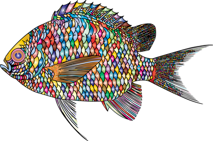 Colourful Fish Art Print 100% Australian Made