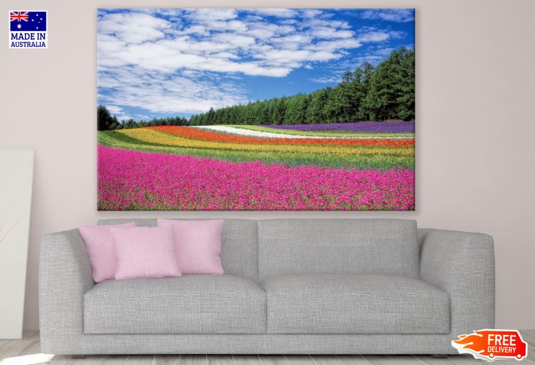 Colorful Flower Field Photograph Print 100% Australian Made