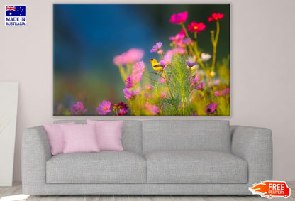 Small Bird on a Colorful Flower Photograph Print 100% Australian Made