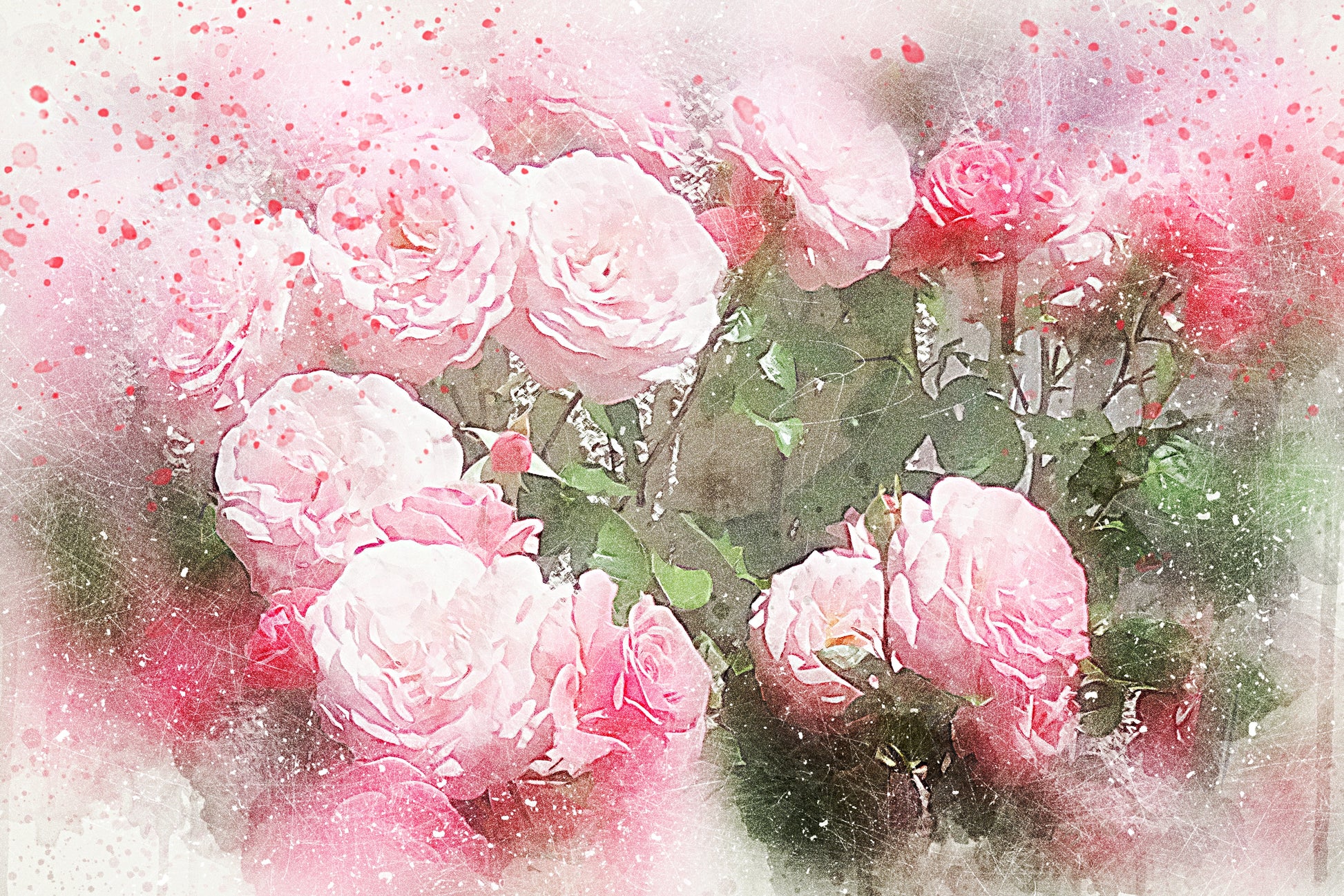 Pink Flowers Photograph Painting Print 100% Australian Made