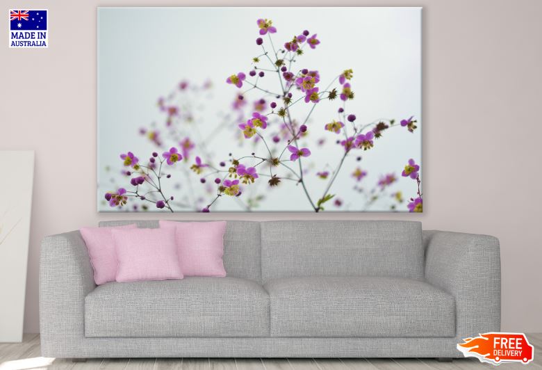 Colorful Flower Tree Closeup Photograph Print 100% Australian Made