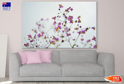 Colorful Flower Tree Closeup Photograph Print 100% Australian Made
