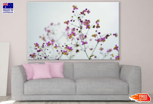 Colorful Flower Tree Closeup Photograph Print 100% Australian Made