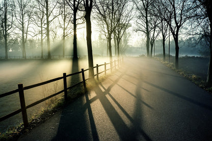 Forest & Misty Road Photograph Print 100% Australian Made