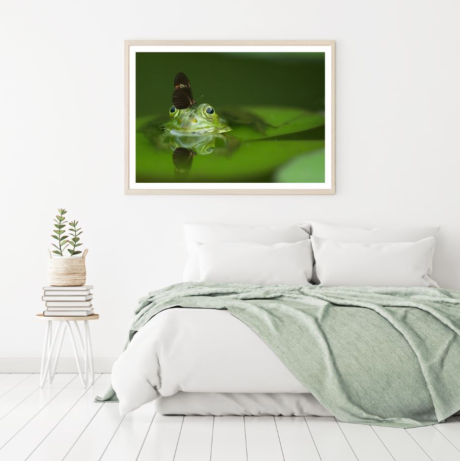 Frog with Butterfly Photograph Home Decor Premium Quality Poster Print Choose Your Sizes