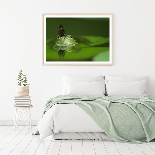Frog with Butterfly Photograph Home Decor Premium Quality Poster Print Choose Your Sizes