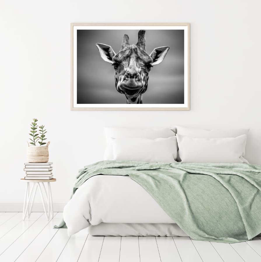 Giraffe Portrait B&W Photograph Home Decor Premium Quality Poster Print Choose Your Sizes