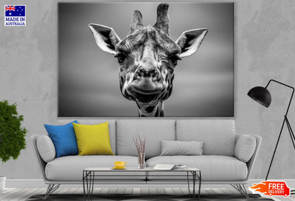 Giraffe Portrait B&W Photograph Print 100% Australian Made