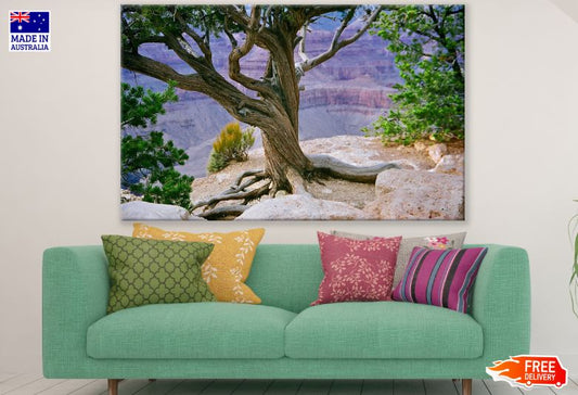 Tree on Mountain Photograph Print 100% Australian Made