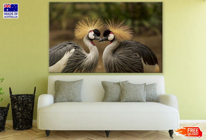 Grey Crowned Cranes Photograph Print 100% Australian Made