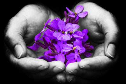 Purple Flowers on Hand B&W View Home Decor Premium Quality Poster Print Choose Your Sizes