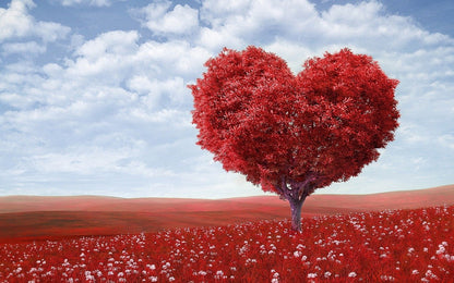 Heart Shaped Tree in a Red Flower Field Photograph Print 100% Australian Made