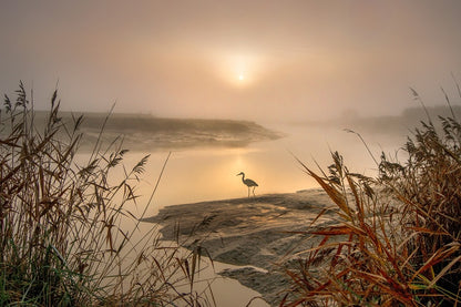 Bird Near Lake at Sunset Photograph Print 100% Australian Made