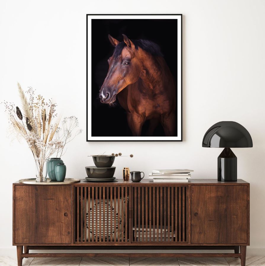 Horse Portrait Photograph Home Decor Premium Quality Poster Print Choose Your Sizes