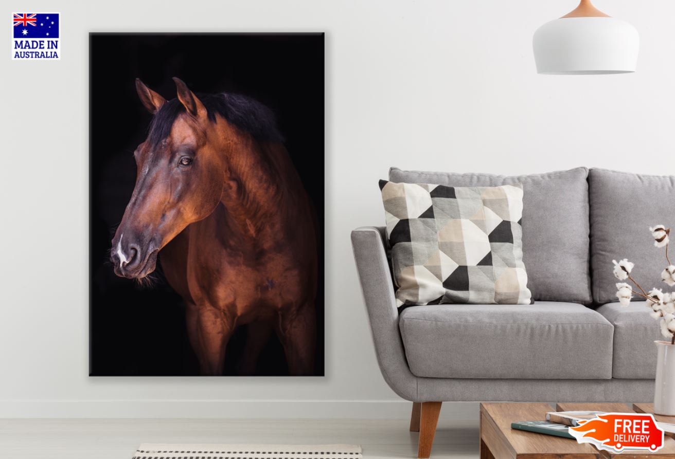 Horse Portrait Photograph Print 100% Australian Made