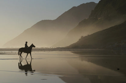 Boy on Horse Near Misty Lake View Print 100% Australian Made