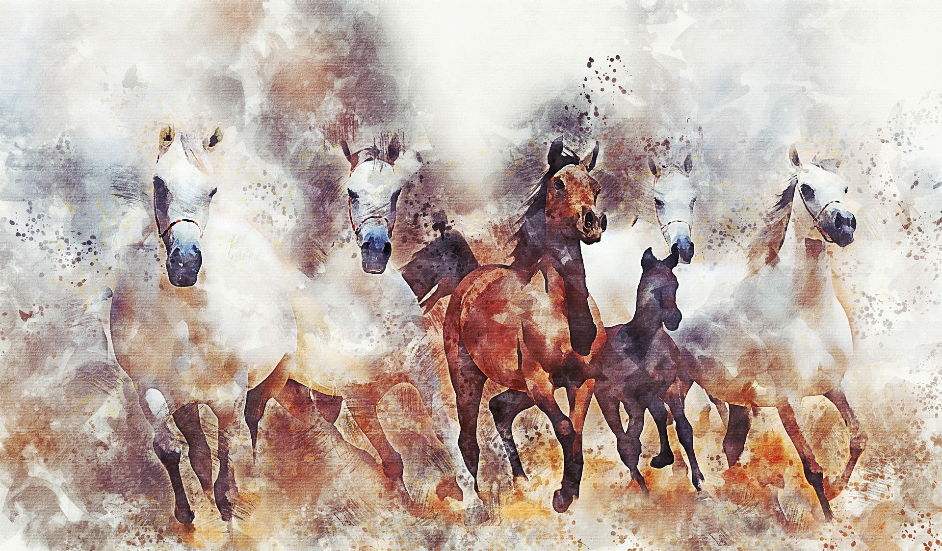 Running Horses Watercolour Painting Print 100% Australian Made
