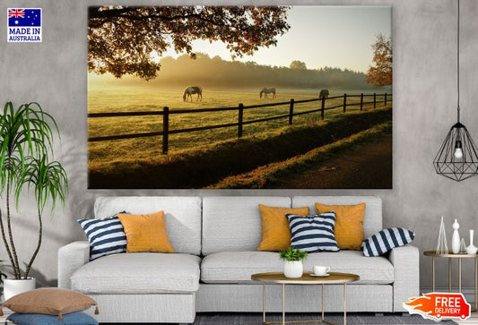 Horses on Field Scenery Photograph Print 100% Australian Made