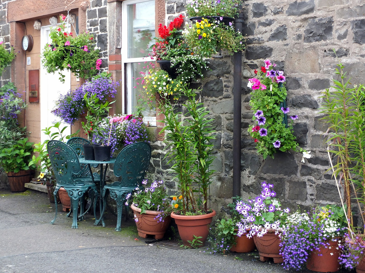 Beauiful Plants On Street Print 100% Australian Made