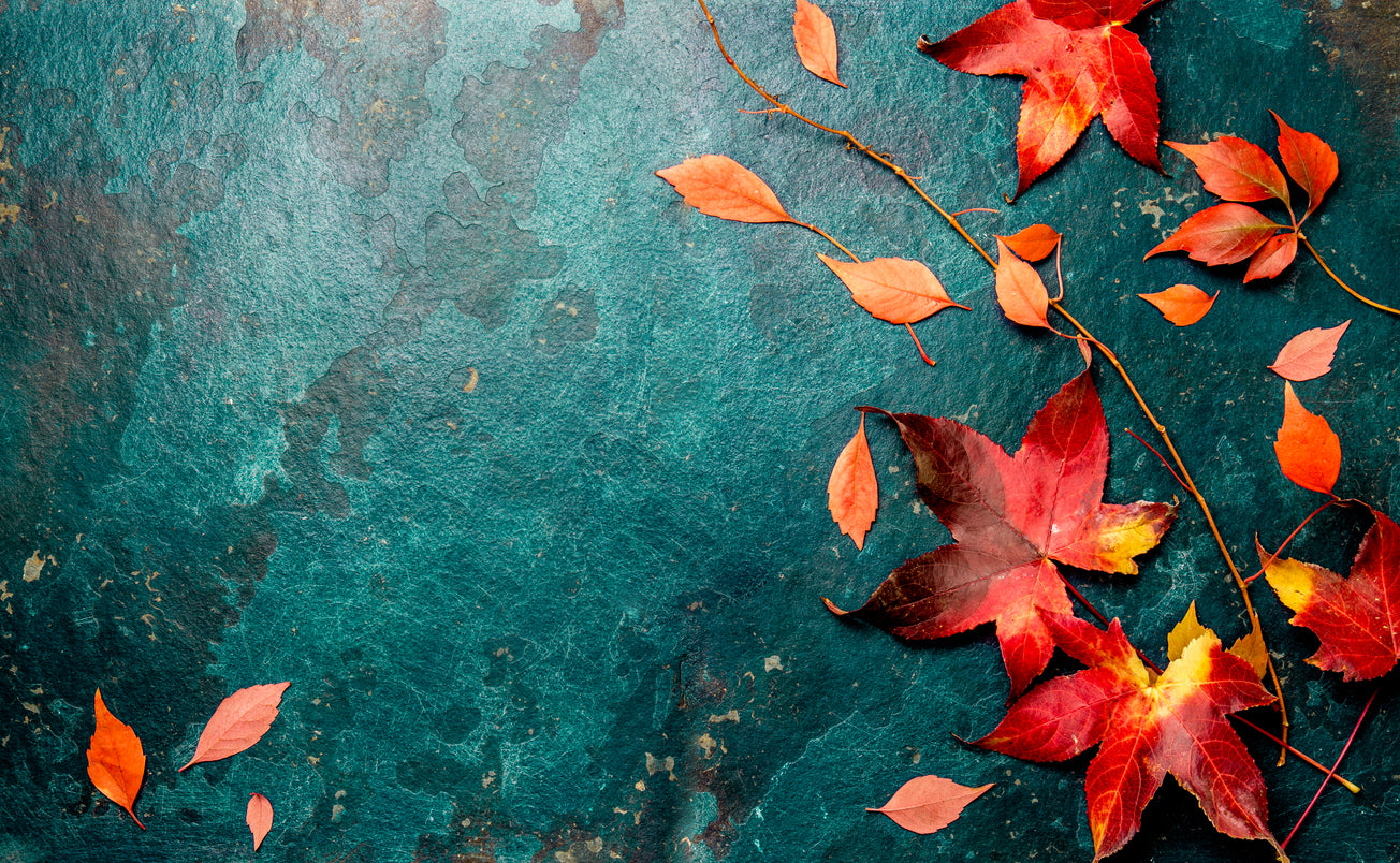 Autumn Leaves Closeup Photograph Home Decor Premium Quality Poster Print Choose Your Sizes
