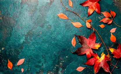 Autumn Leaves Closeup Photograph Print 100% Australian Made