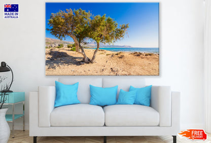 Tree on Cliff Near Sea Photograph Print 100% Australian Made