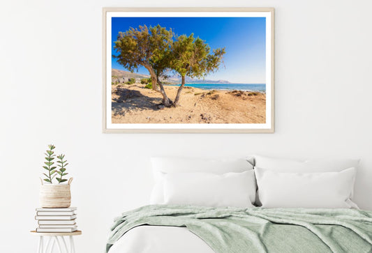 Tree on Cliff Near Sea Photograph Home Decor Premium Quality Poster Print Choose Your Sizes