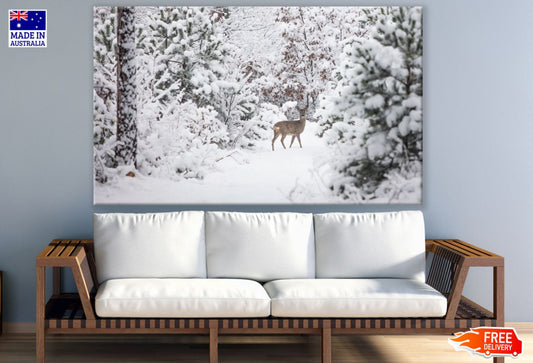 Deer in Snow Covered Forest View Print 100% Australian Made