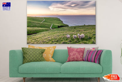 Sheeps on Meadow View Photograph Print 100% Australian Made