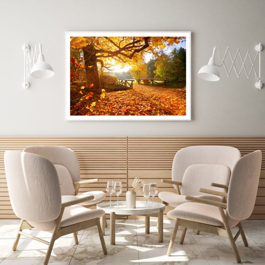 Autumn Forest Scenery Photograph Home Decor Premium Quality Poster Print Choose Your Sizes