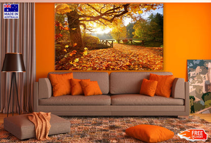 Autumn Forest Scenery Photograph Print 100% Australian Made
