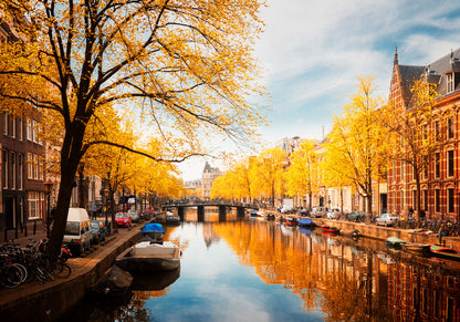 Houses Near Canal Yellow Trees Print 100% Australian Made