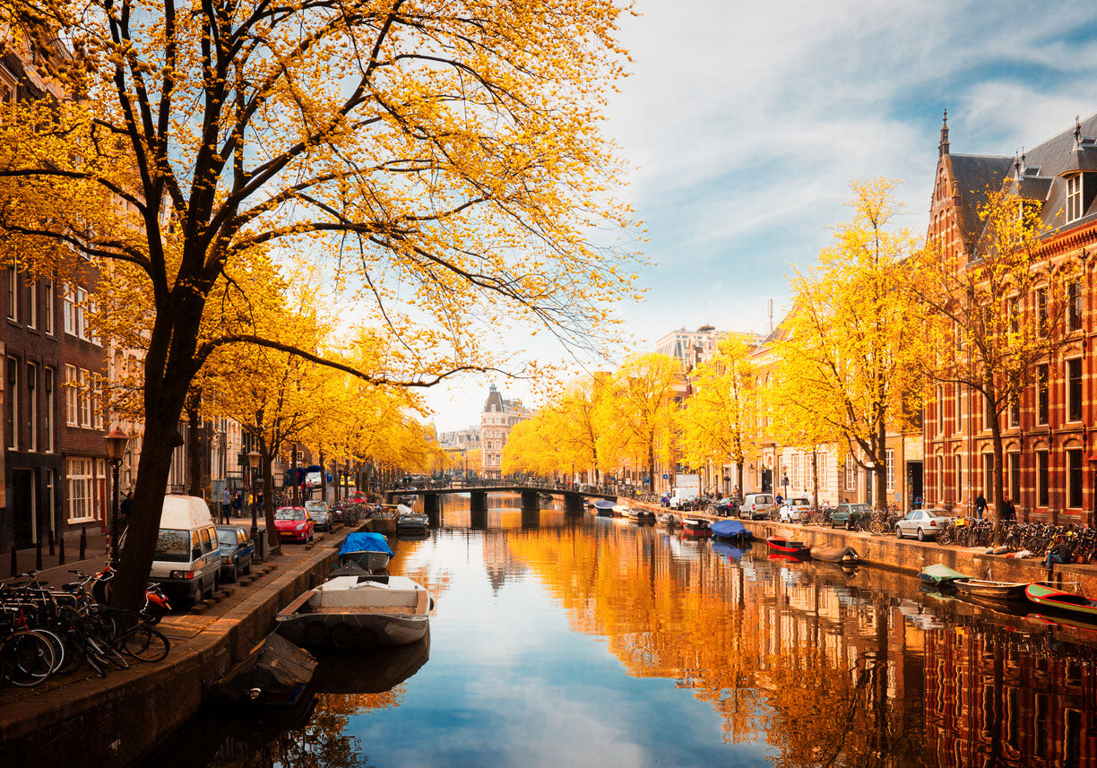 Houses Near Canal Yellow Trees Home Decor Premium Quality Poster Print Choose Your Sizes