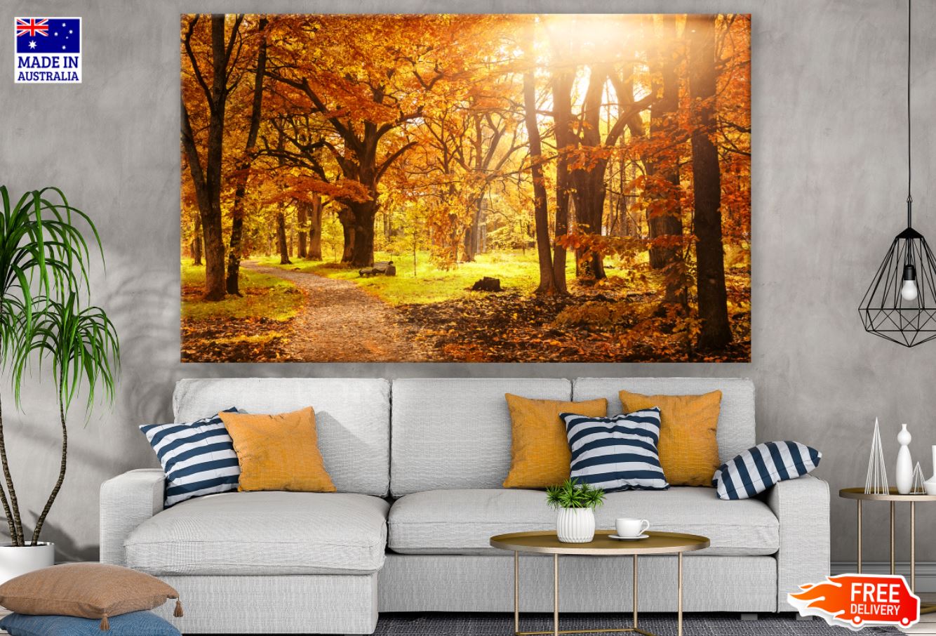 Autumn Forest Scenery Photograph Print 100% Australian Made