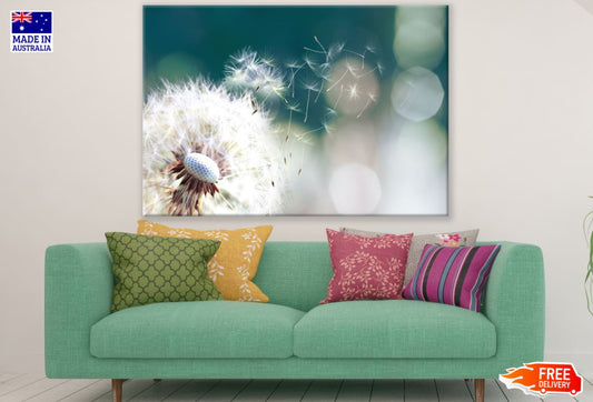 Dandelion Flower Closeup View Print 100% Australian Made