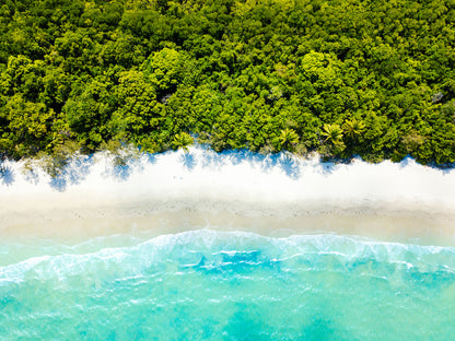 Beach & Forest Aerial View Print 100% Australian Made