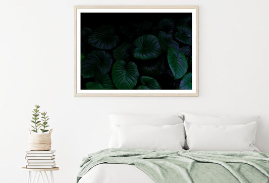 Plants in Dark Photograph Home Decor Premium Quality Poster Print Choose Your Sizes