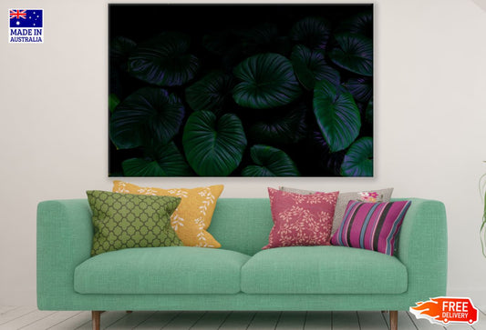 Plants in Dark Photograph Print 100% Australian Made