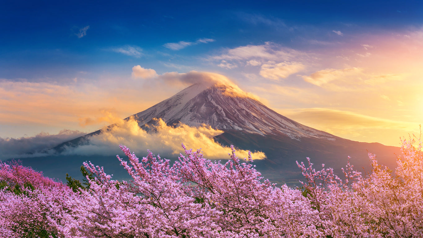 Blossom Trees & Fuji Mountain Print 100% Australian Made