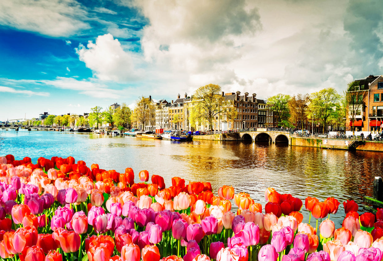 Tulip Flowers & City with Lake Print 100% Australian Made