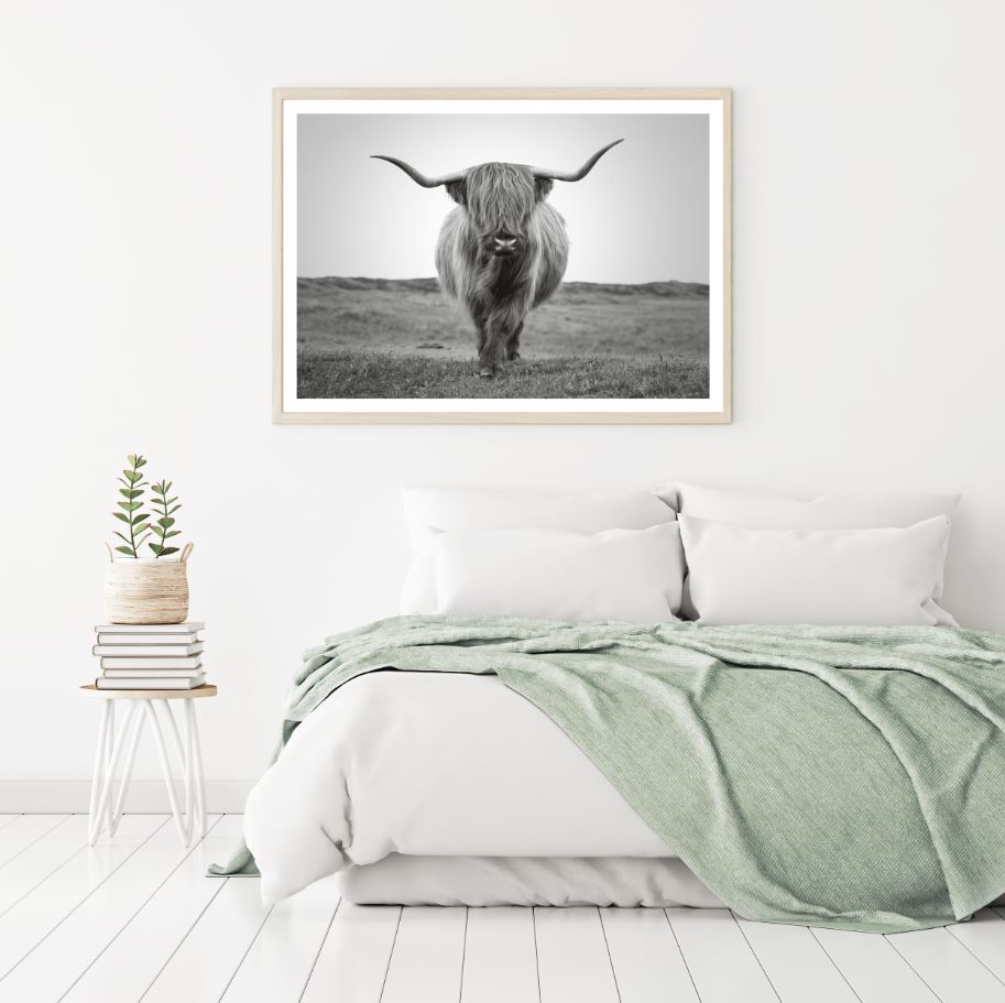 Highland Cow Portrait B&W View Home Decor Premium Quality Poster Print Choose Your Sizes