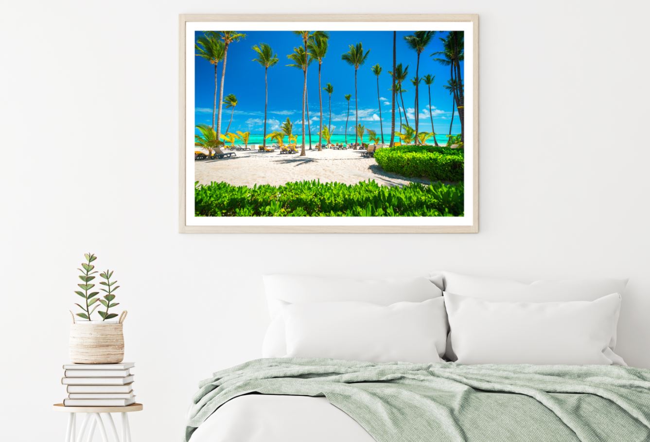 Palm Trees Near Sea Photograph Home Decor Premium Quality Poster Print Choose Your Sizes