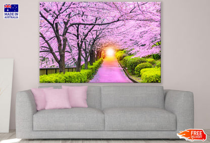 Blossom Tree Park Photograph Print 100% Australian Made